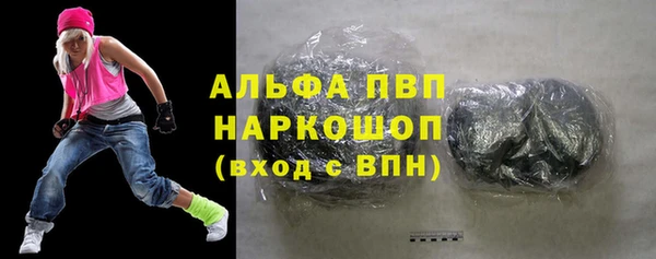 гашик Алексин