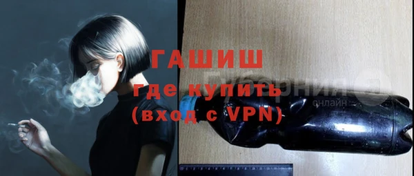 гашик Алексин
