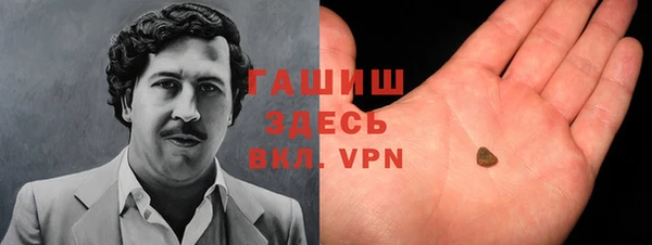 гашик Алексин