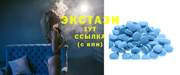 гашик Алексин