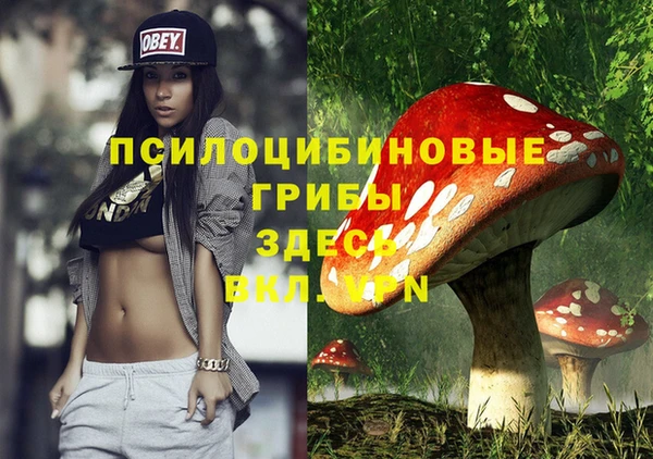 эйфоретик Алексеевка
