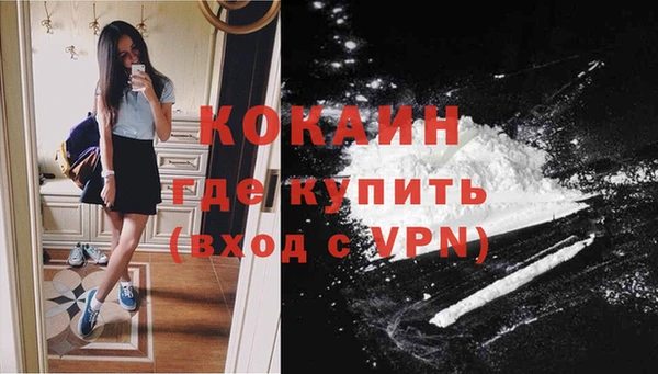 гашик Алексин