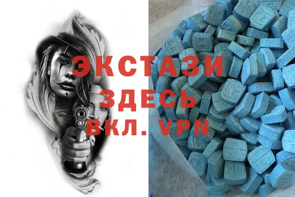 гашик Алексин