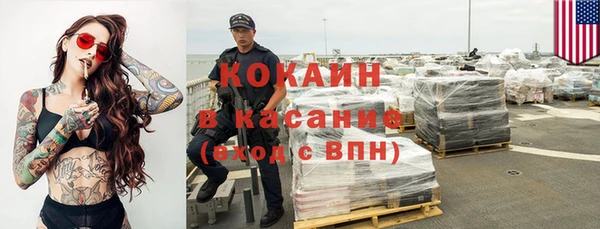 гашик Алексин