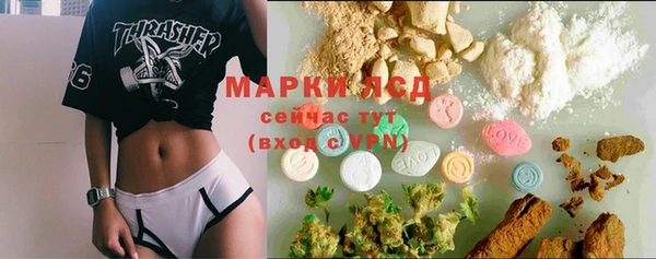 гашик Алексин