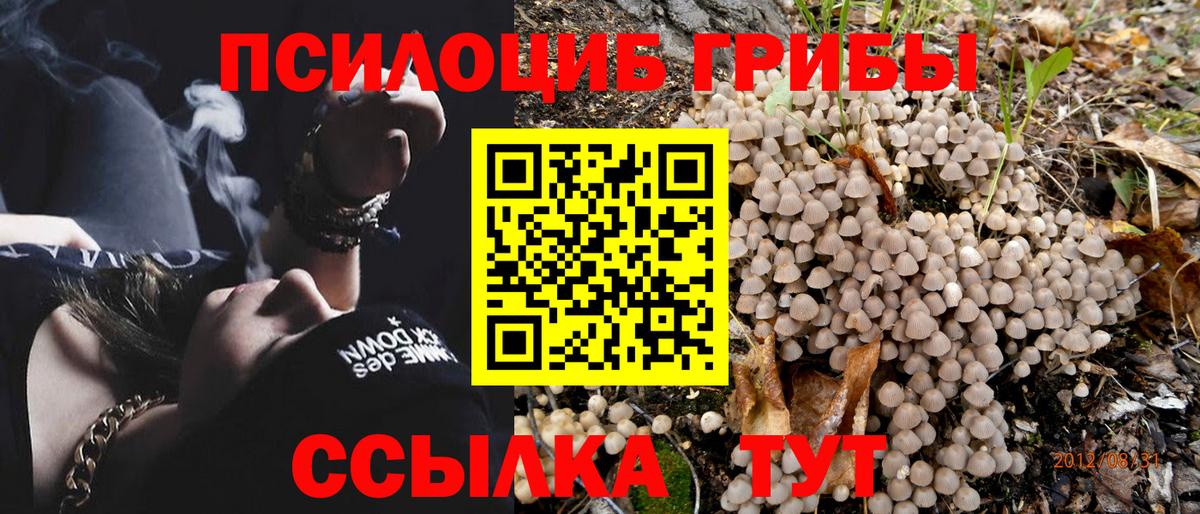 Галлюциногенные грибы Magic Shrooms Заинск